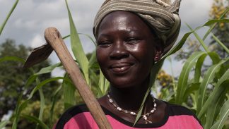 Yeri in her cornfield