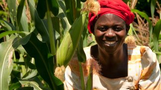 Grantee in Sub-Saharan Africa in her corn field